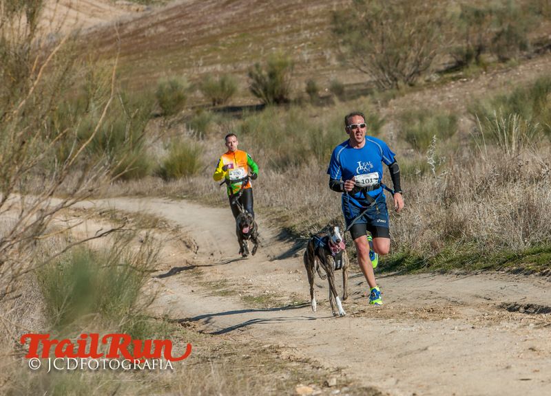 Campeonato de España de Mushing 2017
