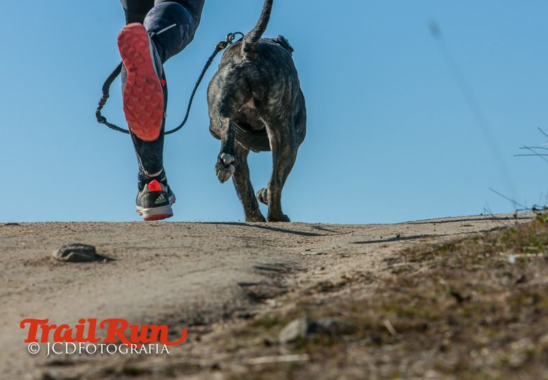 Campeonato de España de Mushing 2017