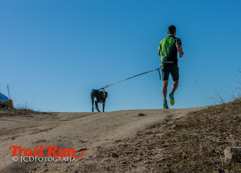 Campeonato de España de Mushing 2017