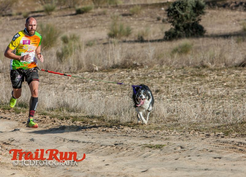 Campeonato de España de Mushing 2017