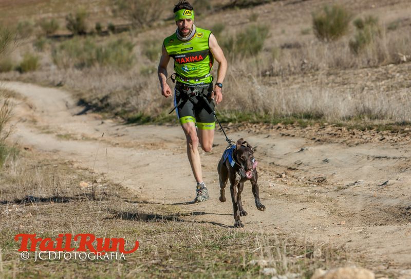 Campeonato de España de Mushing 2017