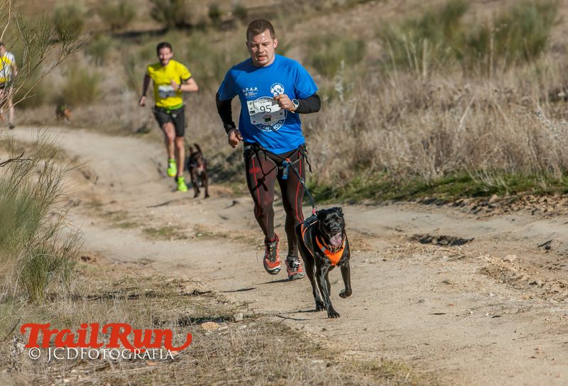 Campeonato de España de Mushing 2017