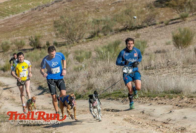 Campeonato de España de Mushing 2017