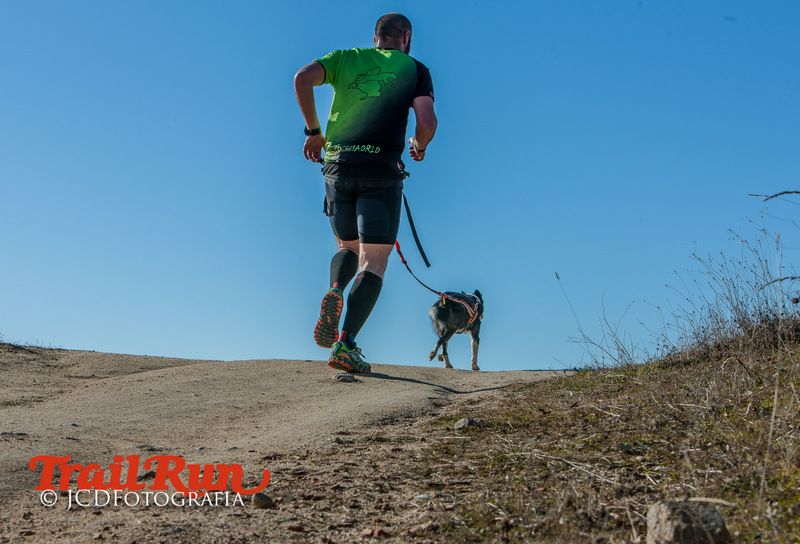 Campeonato de España de Mushing 2017