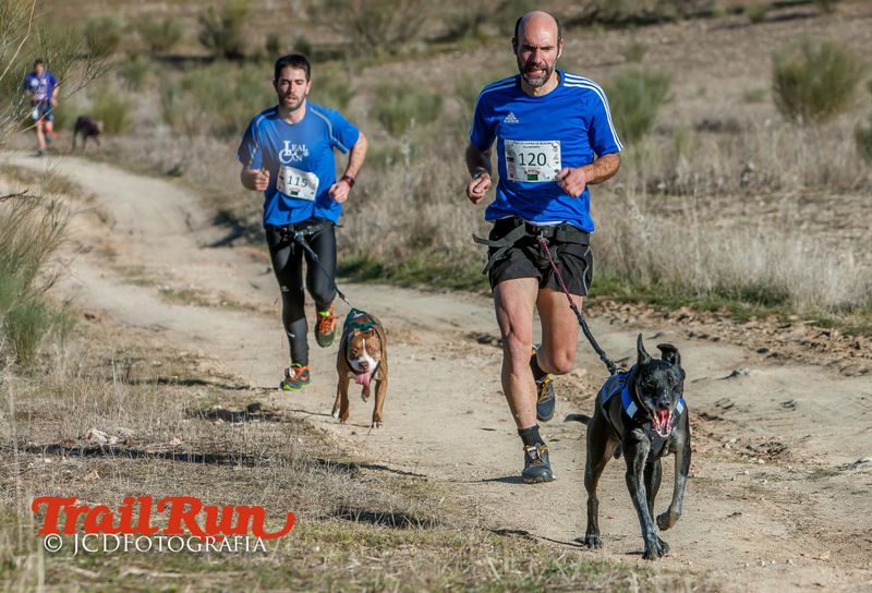 Campeonato de España de Mushing 2017