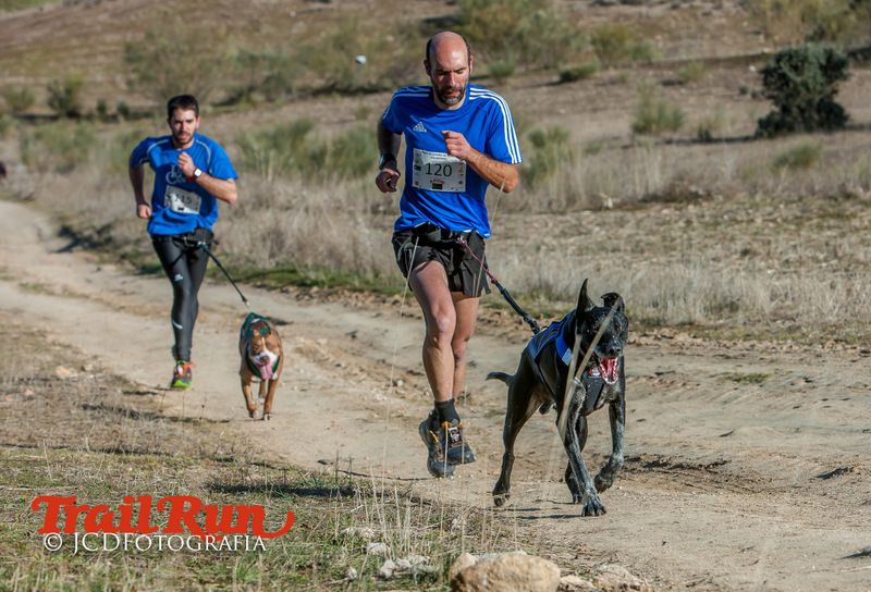 Campeonato de España de Mushing 2017