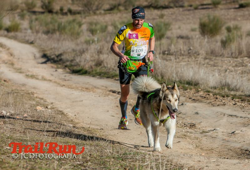 Campeonato de España de Mushing 2017