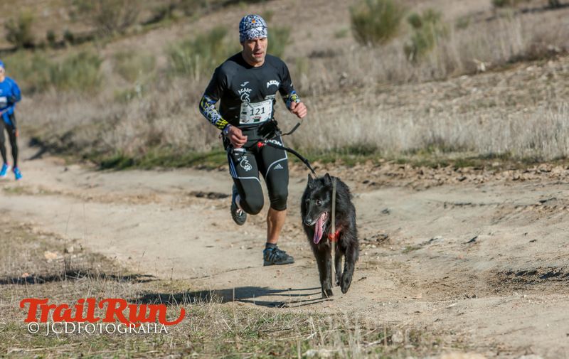 Campeonato de España de Mushing 2017
