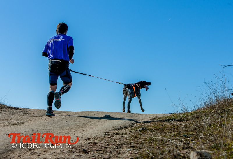 Campeonato de España de Mushing 2017