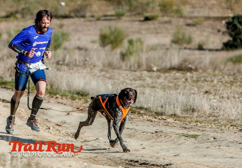 Campeonato de España de Mushing 2017