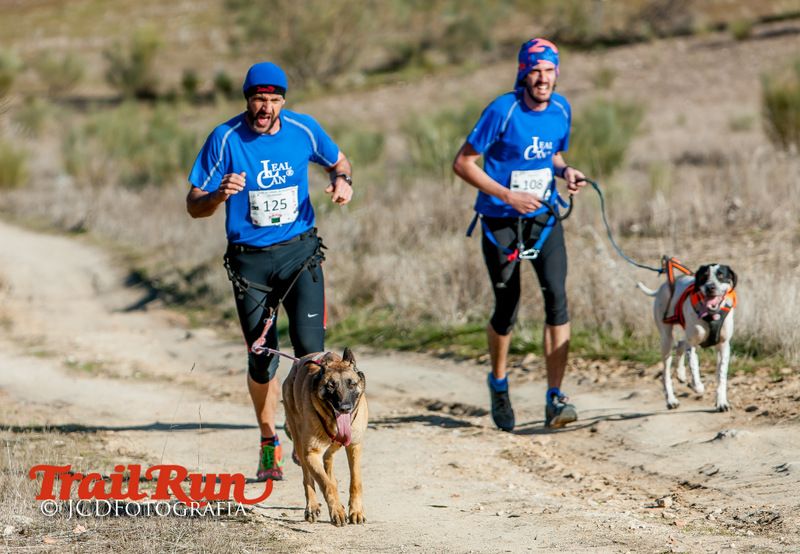 Campeonato de España de Mushing 2017