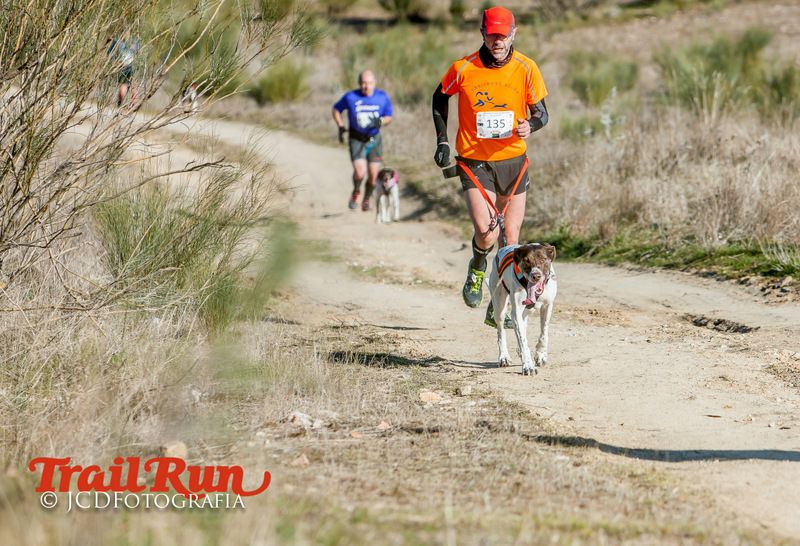 Campeonato de España de Mushing 2017
