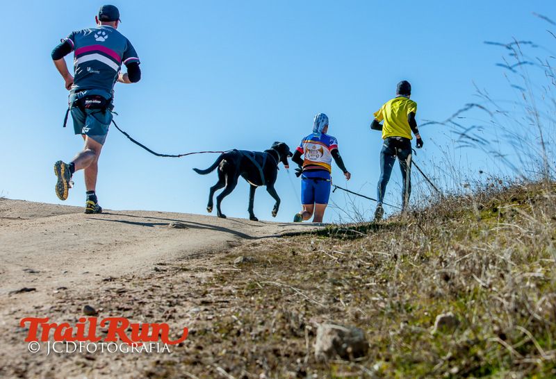 Campeonato de España de Mushing 2017