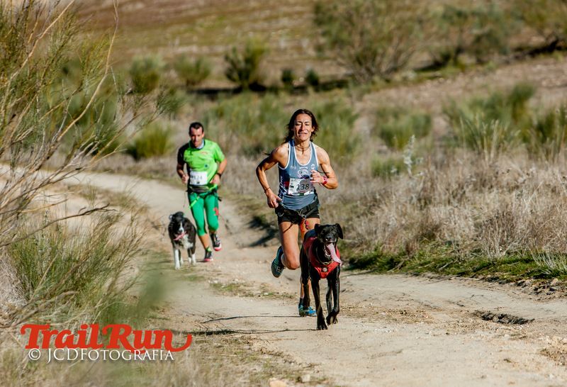 Campeonato de España de Mushing 2017