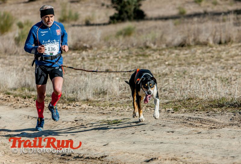 Campeonato de España de Mushing 2017