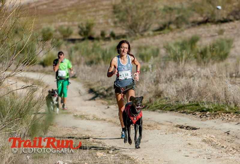 Campeonato de España de Mushing 2017