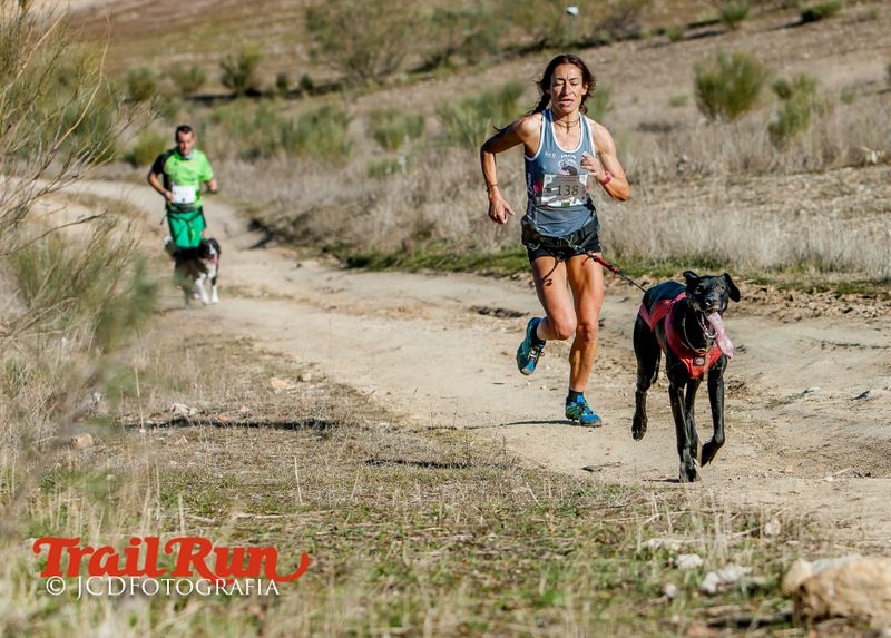 Campeonato de España de Mushing 2017