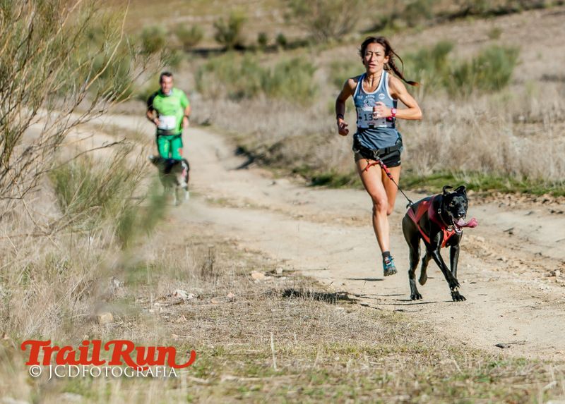 Campeonato de España de Mushing 2017
