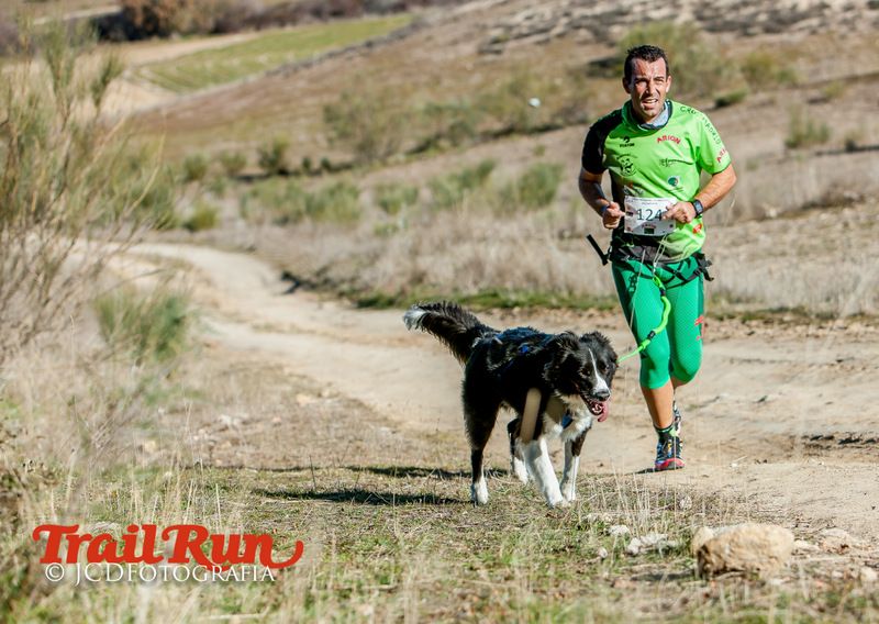 Campeonato de España de Mushing 2017