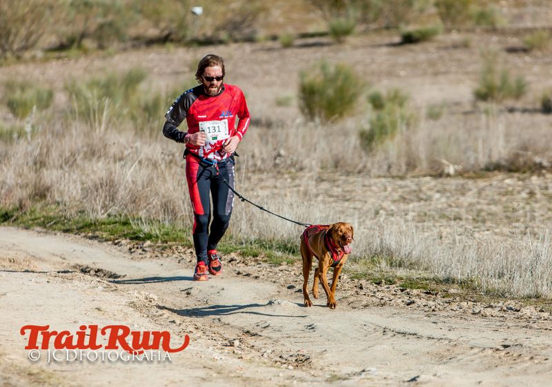 Campeonato de España de Mushing 2017