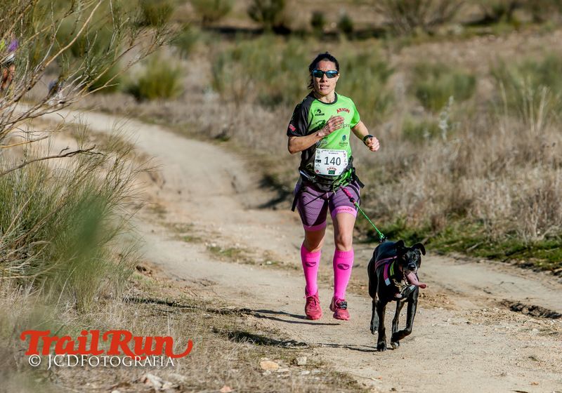 Campeonato de España de Mushing 2017