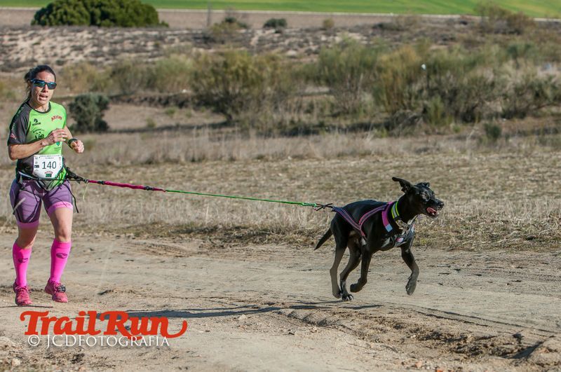 Campeonato de España de Mushing 2017