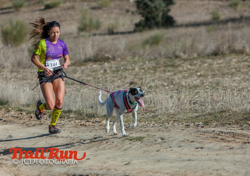 Campeonato de España de Mushing 2017