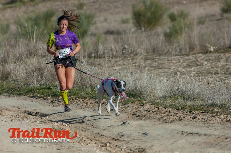 Campeonato de España de Mushing 2017