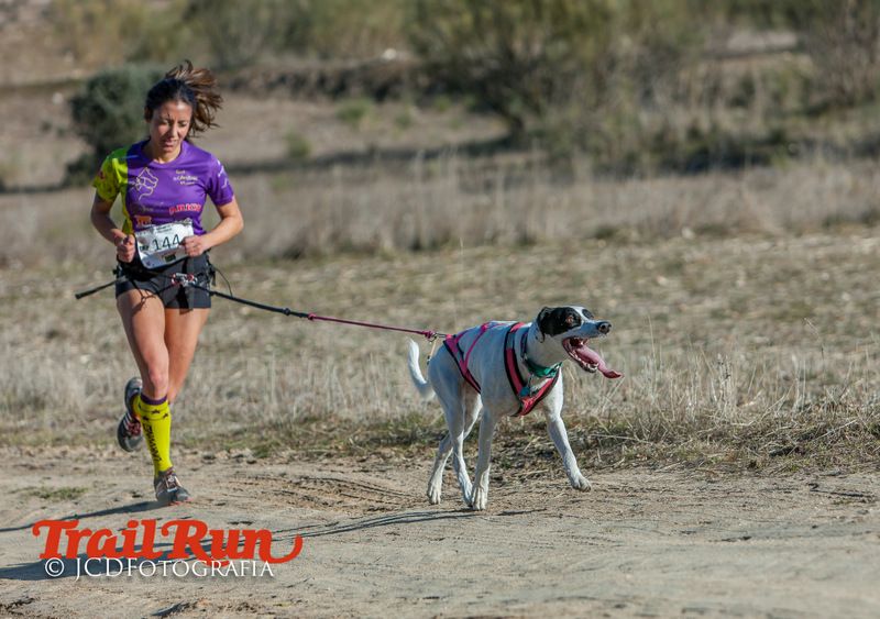Campeonato de España de Mushing 2017