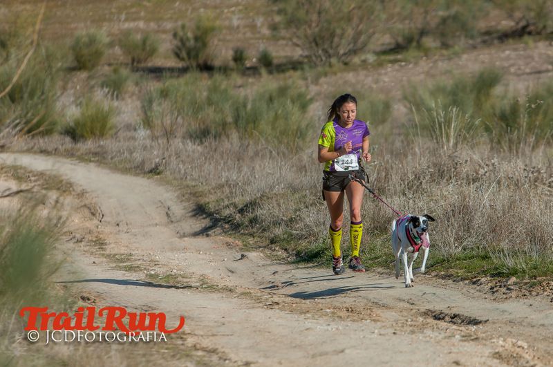 Campeonato de España de Mushing 2017