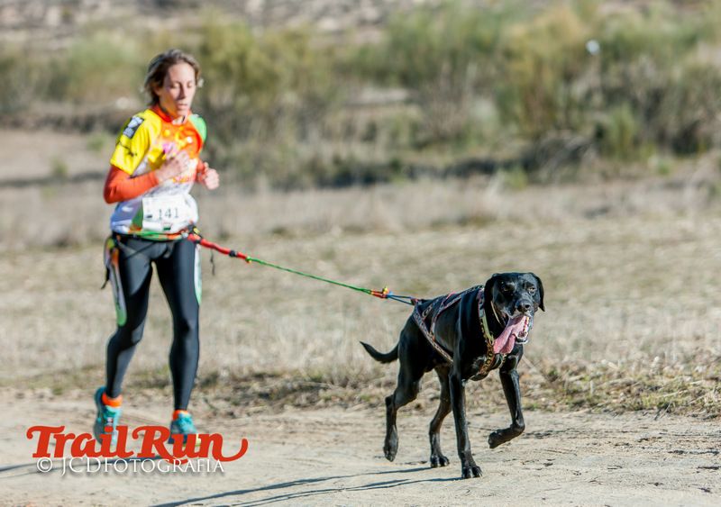 Campeonato de España de Mushing 2017