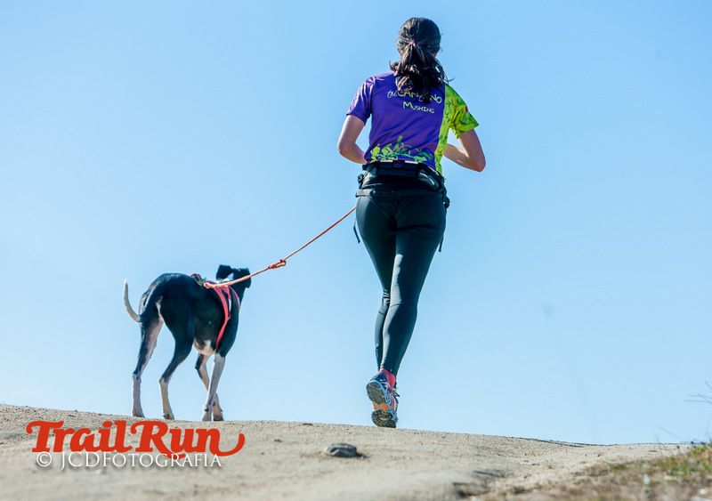 Campeonato de España de Mushing 2017