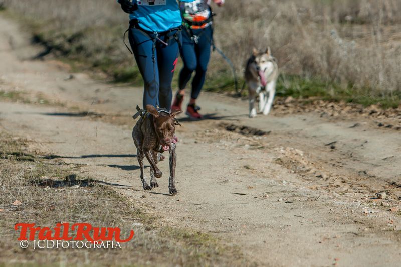 Campeonato de España de Mushing 2017