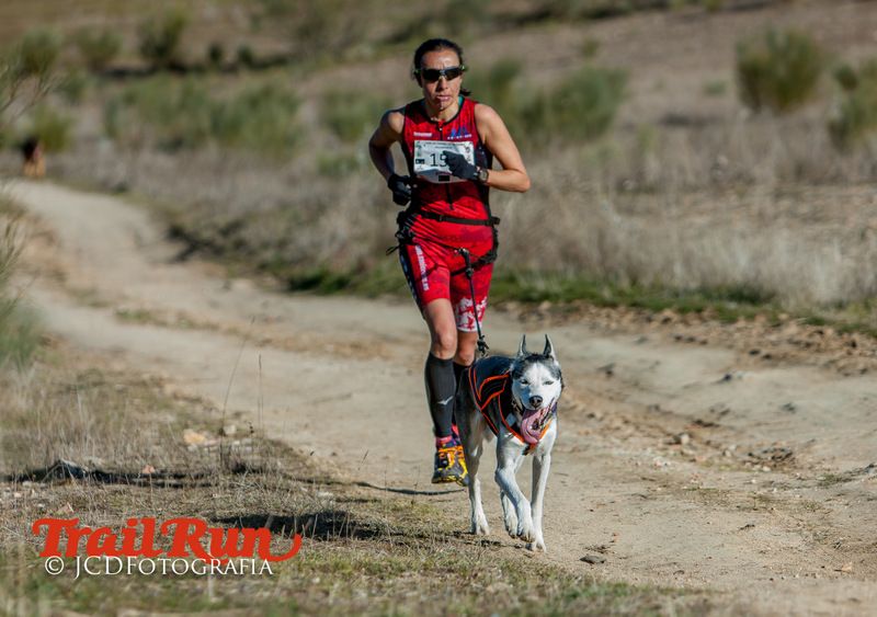 Campeonato de España de Mushing 2017