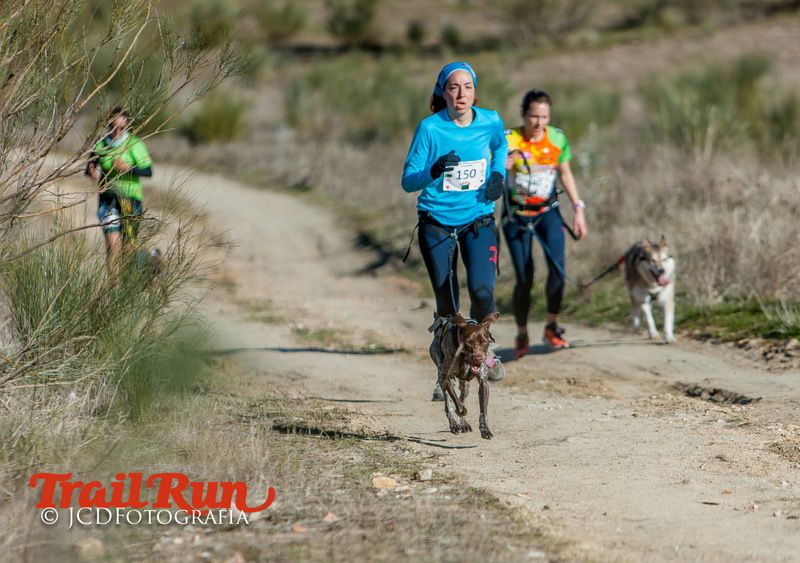 Campeonato de España de Mushing 2017