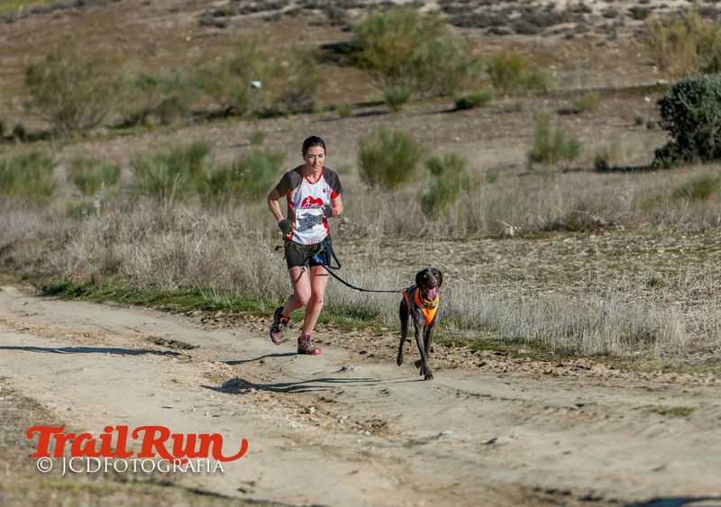 Campeonato de España de Mushing 2017
