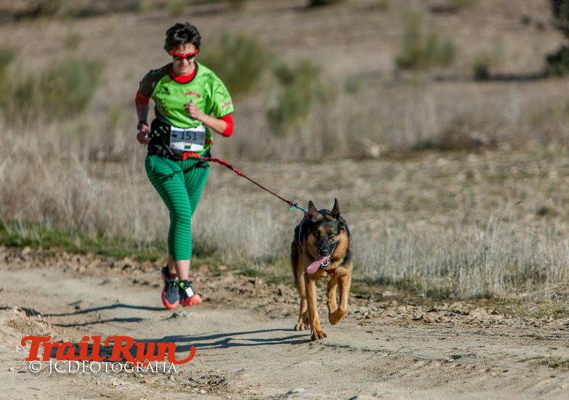 Campeonato de España de Mushing 2017