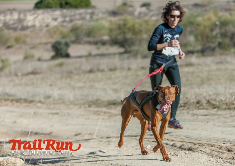 Campeonato de España de Mushing 2017