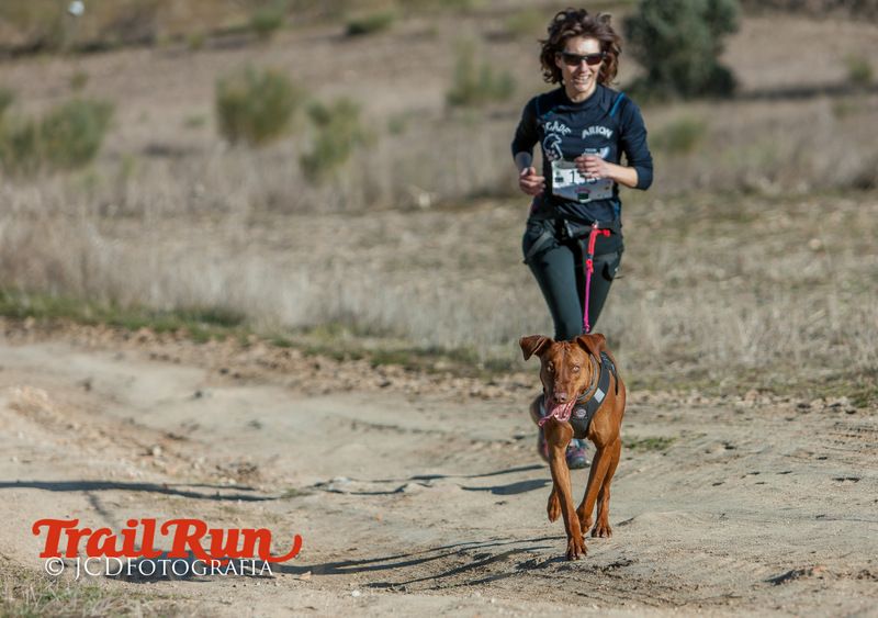 Campeonato de España de Mushing 2017