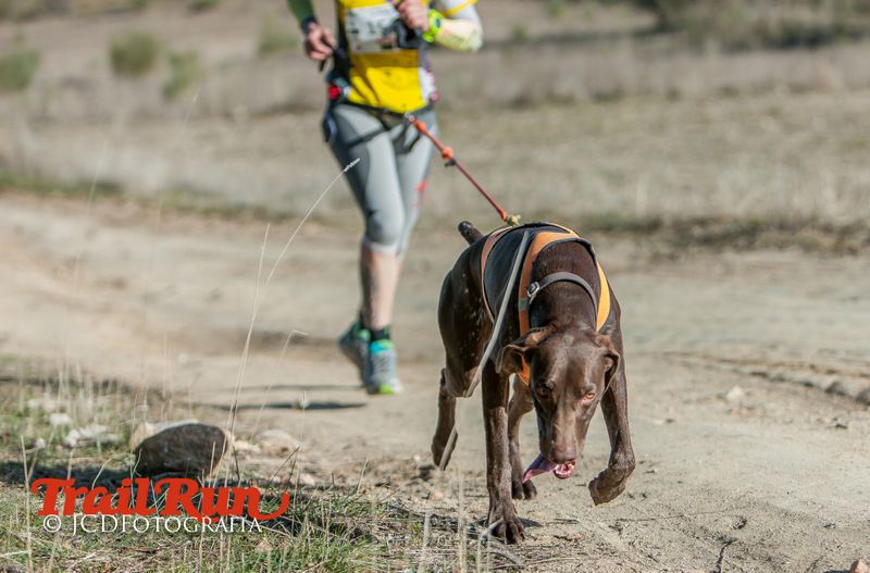 Campeonato de España de Mushing 2017