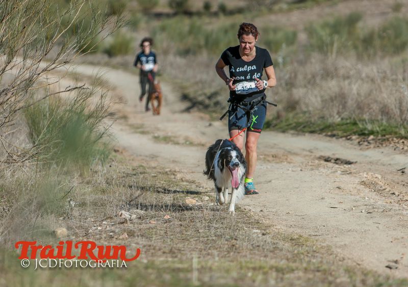 Campeonato de España de Mushing 2017