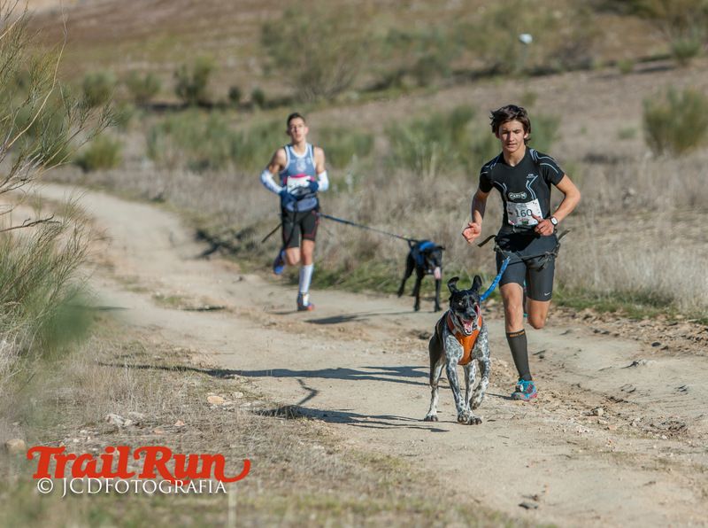 Campeonato de España de Mushing 2017