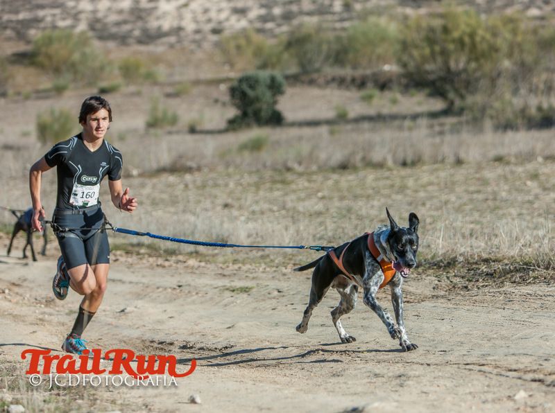 Campeonato de España de Mushing 2017