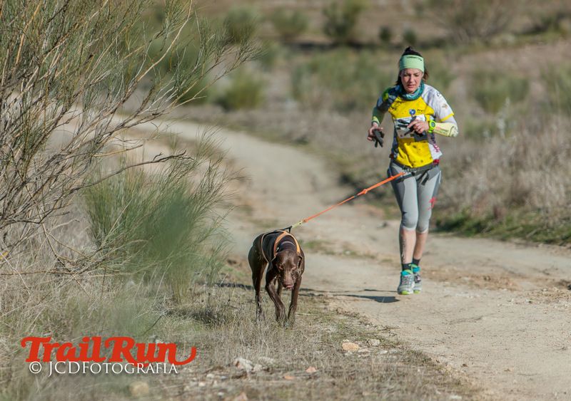 Campeonato de España de Mushing 2017