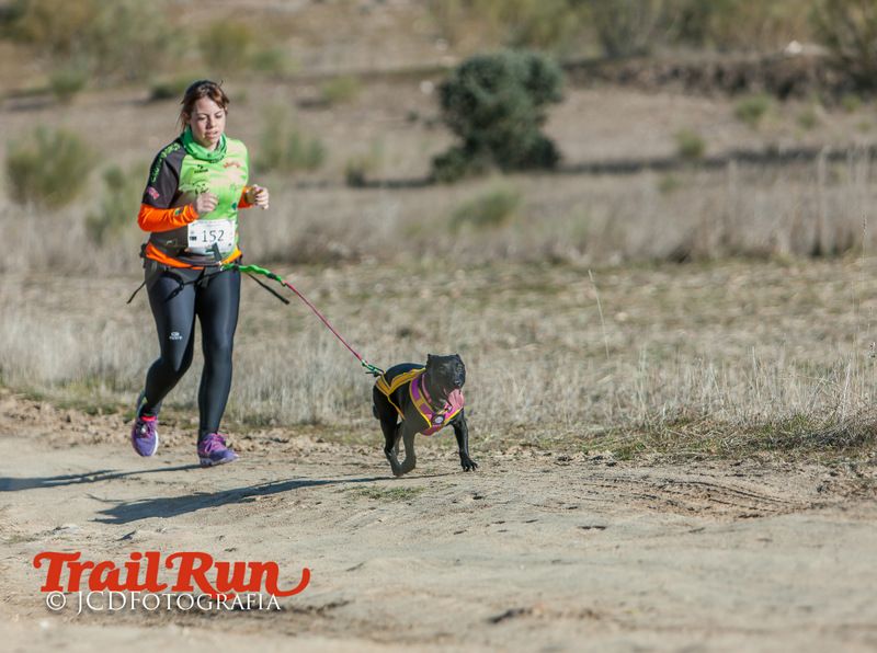 Campeonato de España de Mushing 2017