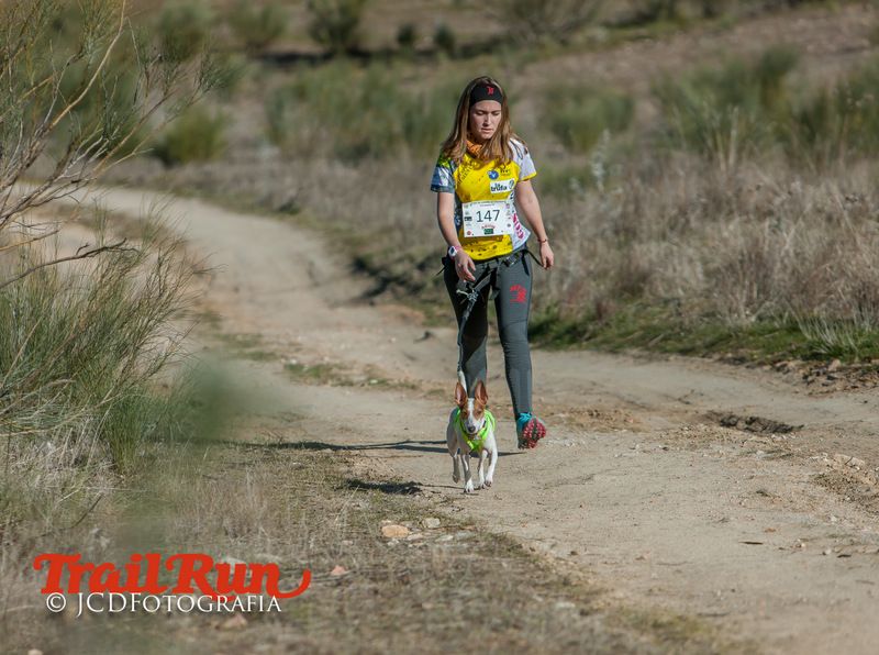 Campeonato de España de Mushing 2017