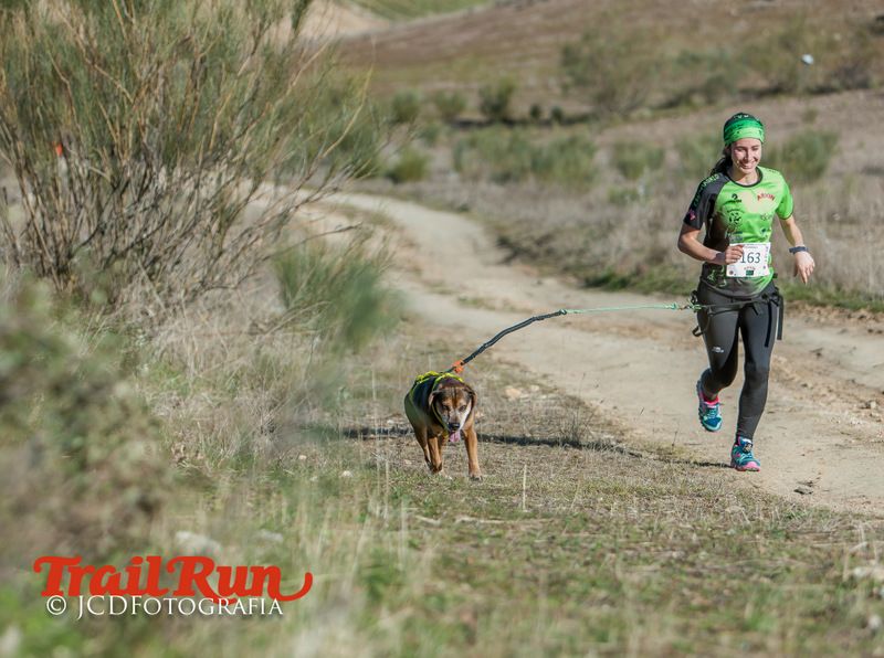 Campeonato de España de Mushing 2017