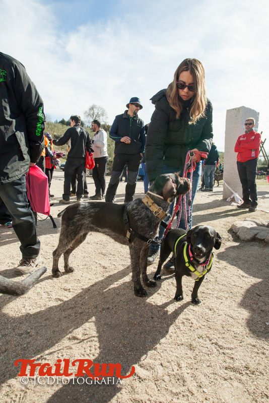 Campeonato de España de Mushing 2017