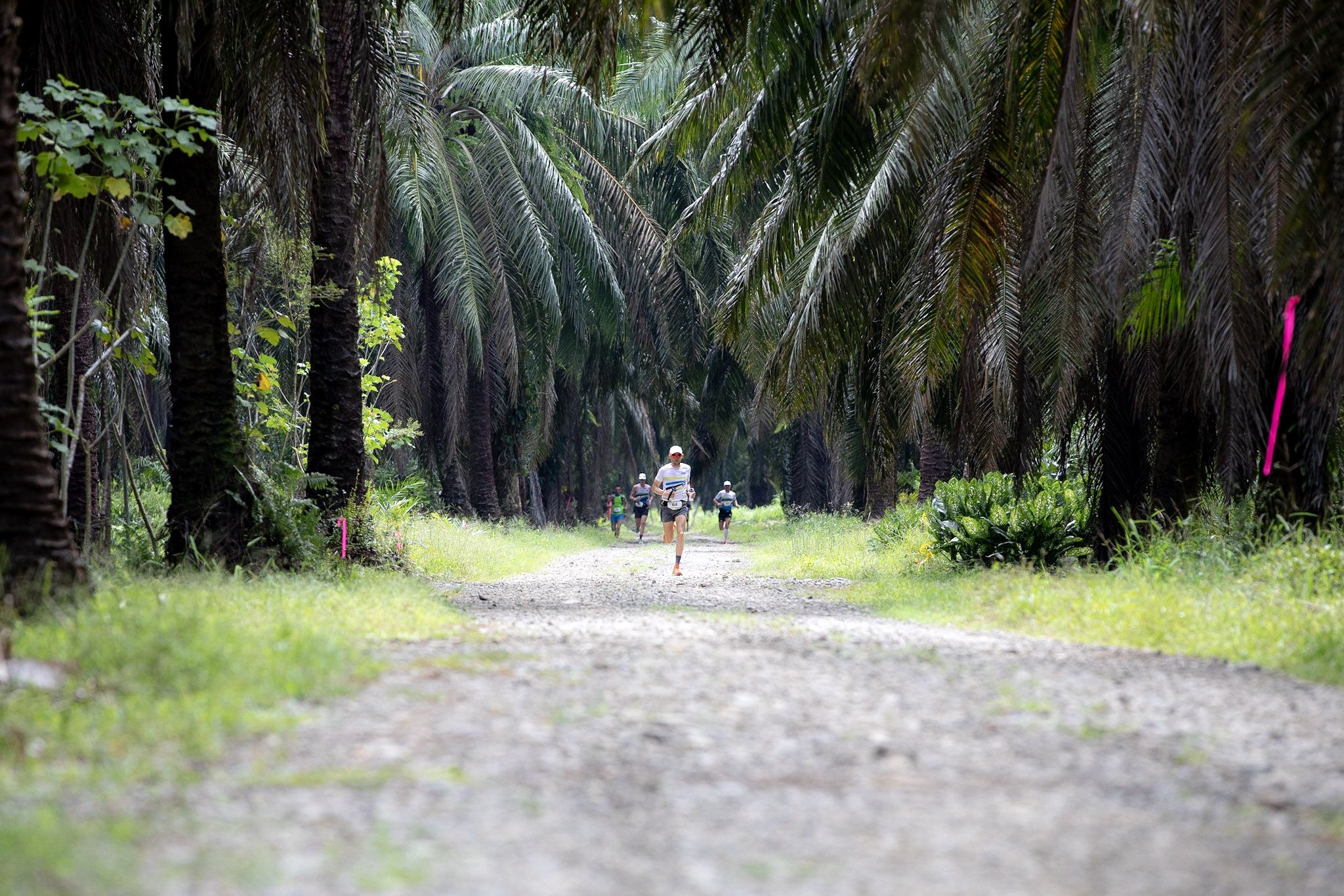The Coastal Challenge Costa Rica 2022 ©Andres Vargas @seekthewild 