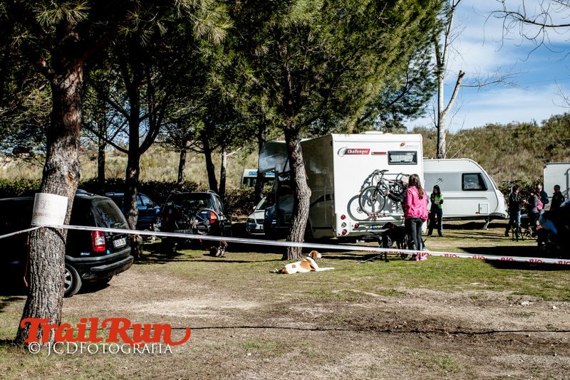 Campeonato de España de Mushing 2017